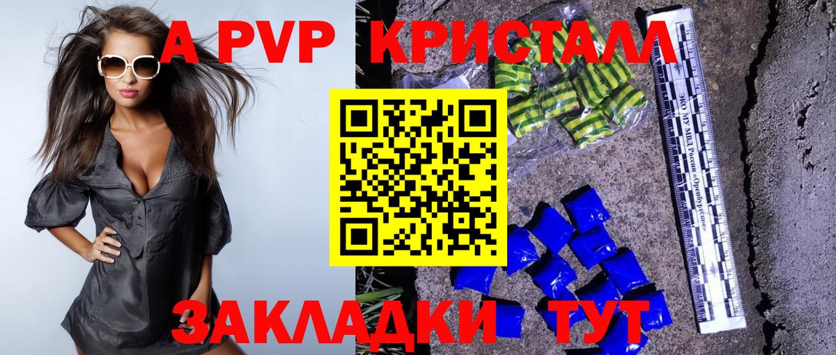 Alfa_PVP крисы CK  A PVP СК КРИС  Назрань  Вход с VPN  A PVP VHQ 