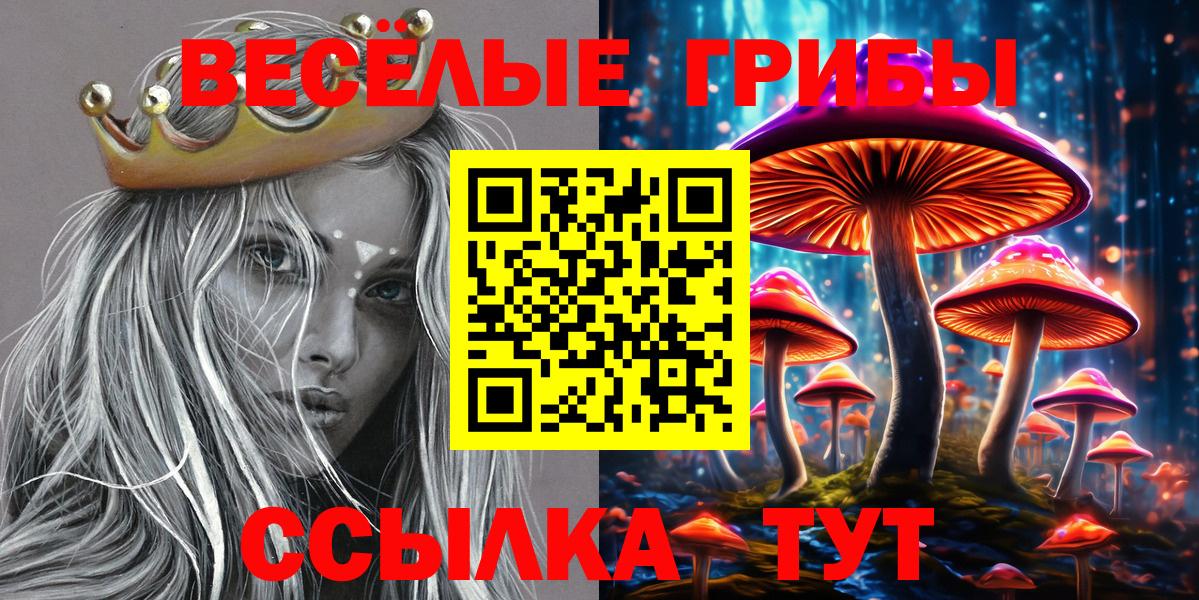 Галлюциногенные грибы Psilocybine cubensis  Псилоцибиновые грибы Psilocybine cubensis  даркнет сайт  Назрань  Вход с VPN 